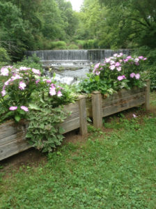 Falls in Spring