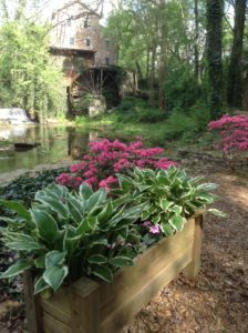 Mill showing water wheel and azaleas in foreground